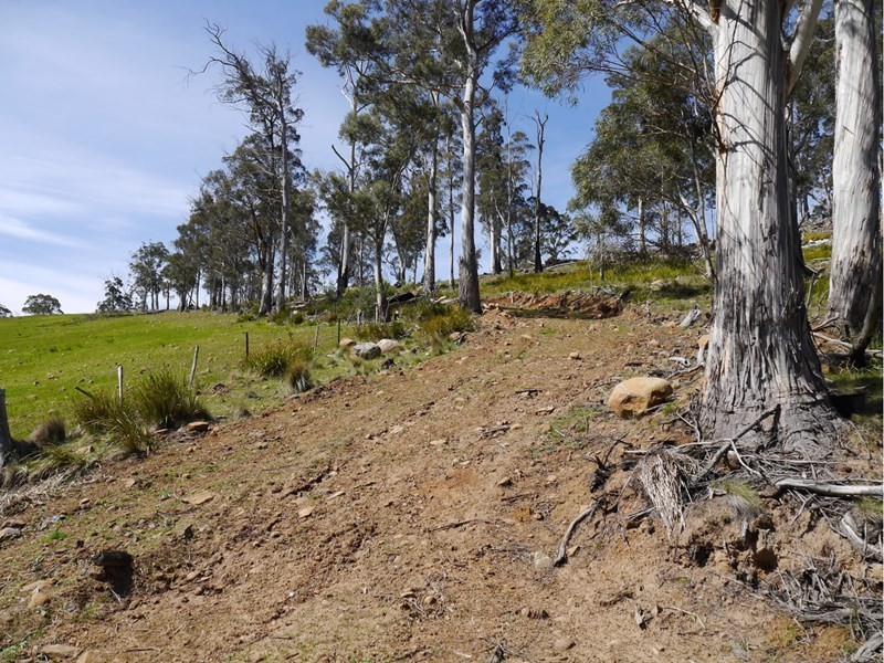 5060 Tasman Highway, Buckland TAS 7190