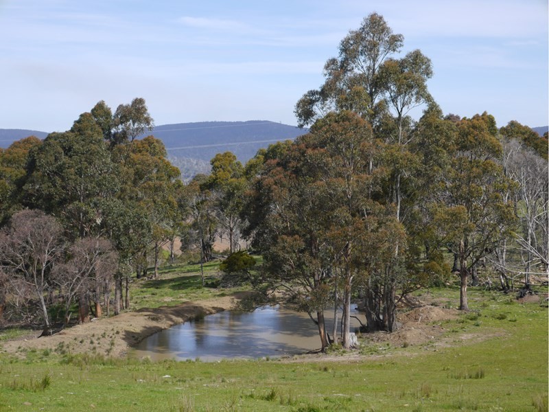 5060 Tasman Highway, Buckland TAS 7190