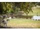 18 Lewisham Scenic Drive, Lewisham TAS 7173