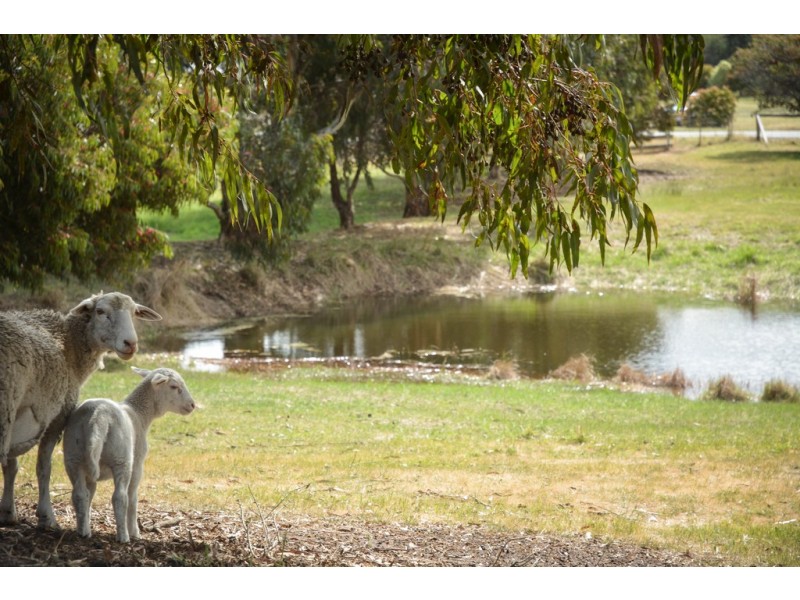 18 Lewisham Scenic Drive, Lewisham TAS 7173