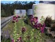 10 Water Reserve Road, Tunnack TAS 7120