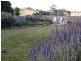 10 Water Reserve Road, Tunnack TAS 7120