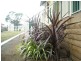 9 Cootamundra Court, Dodges Ferry TAS 7173