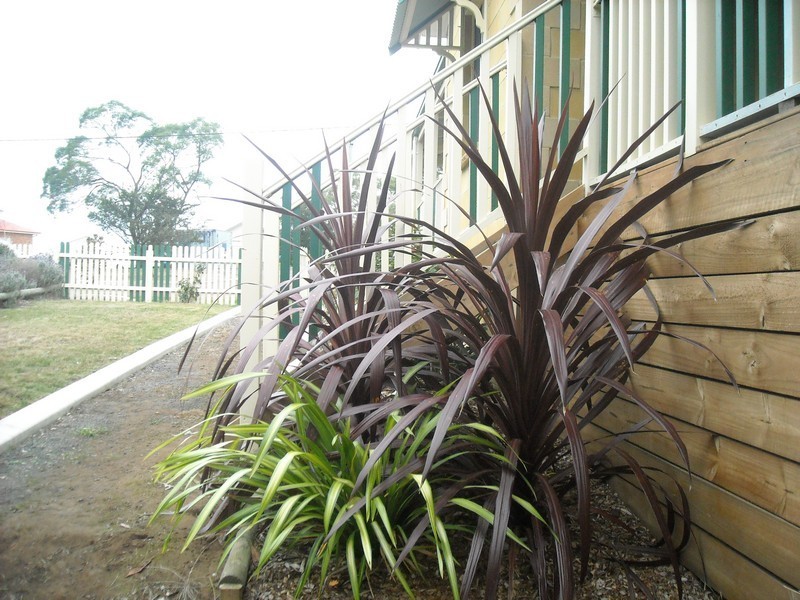 9 Cootamundra Court, Dodges Ferry TAS 7173