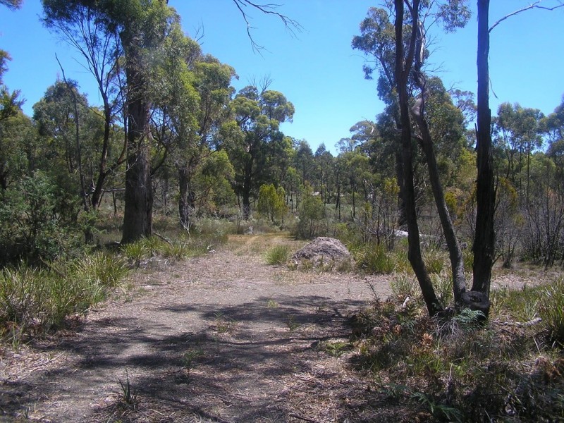 Lot 2, 104 Sally Peak Road, Buckland TAS 7190