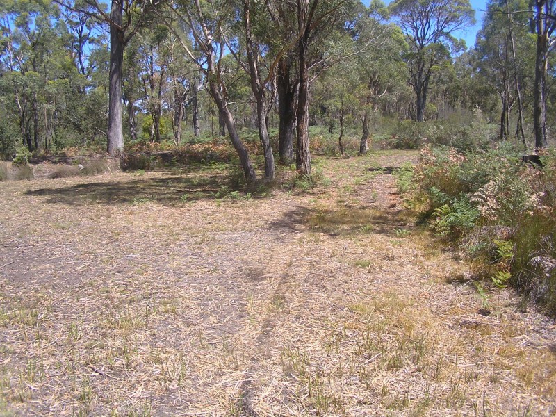 Lot 2, 104 Sally Peak Road, Buckland TAS 7190