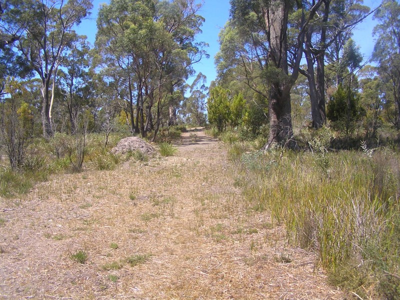Lot 2, 104 Sally Peak Road, Buckland TAS 7190