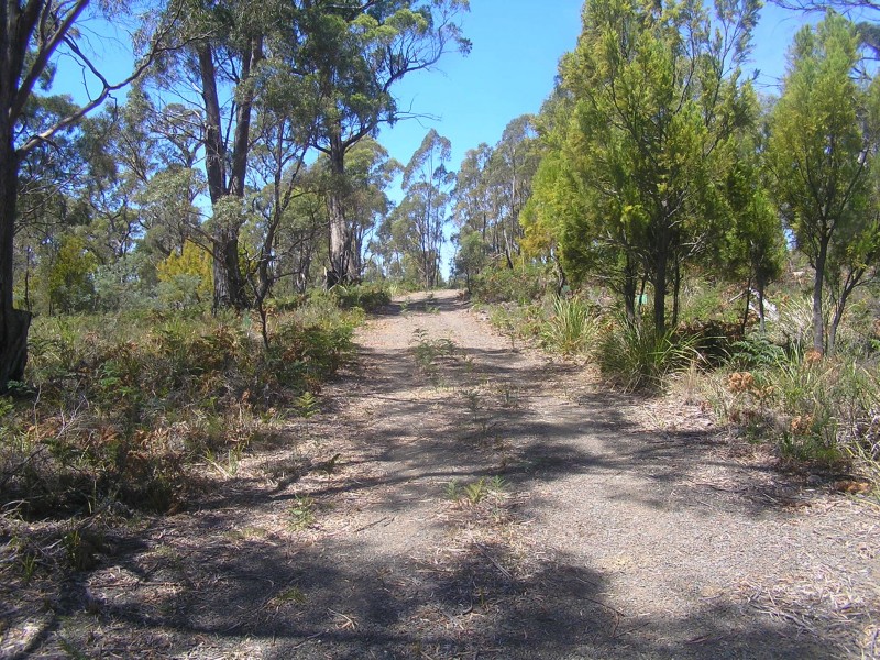 Lot 2, 104 Sally Peak Road, Buckland TAS 7190