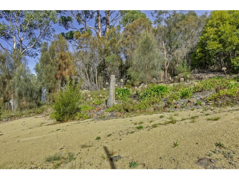 385 White Beach Road, White Beach TAS 7184