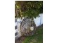 1695 Main Road, Nubeena TAS 7184