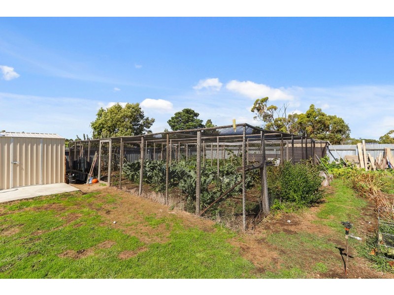 8 Victoria Street, Triabunna TAS 7190