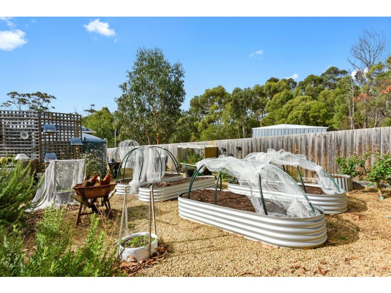 561 White Beach Road, White Beach TAS 7184