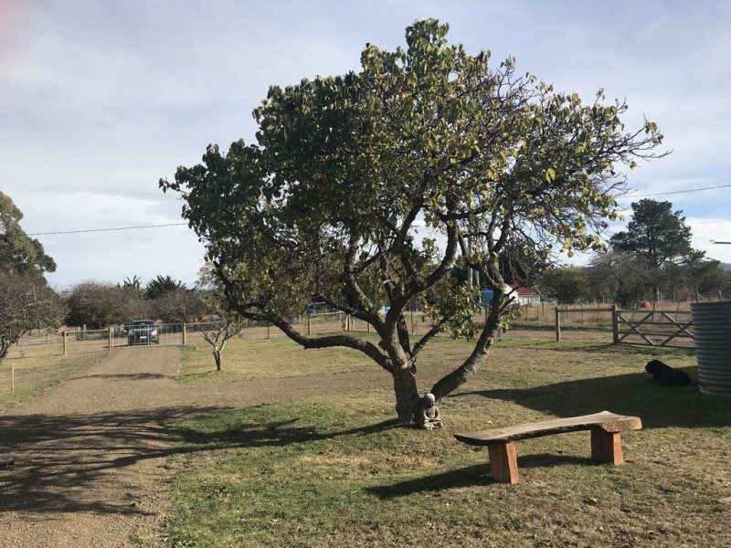 30 HIGH STREET, Pontypool TAS 7190