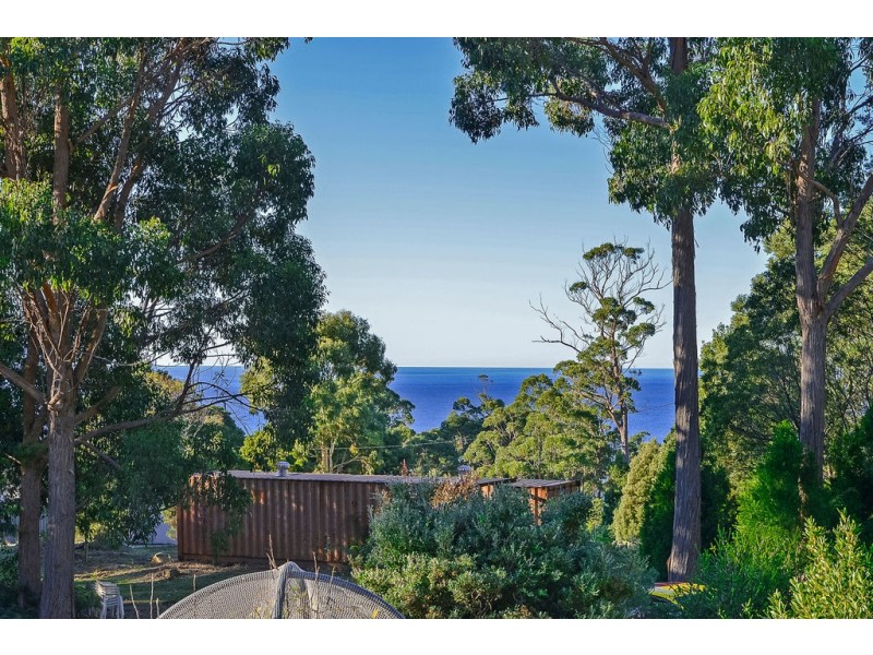 46 Waterfall Bay Road, Eaglehawk Neck TAS 7179