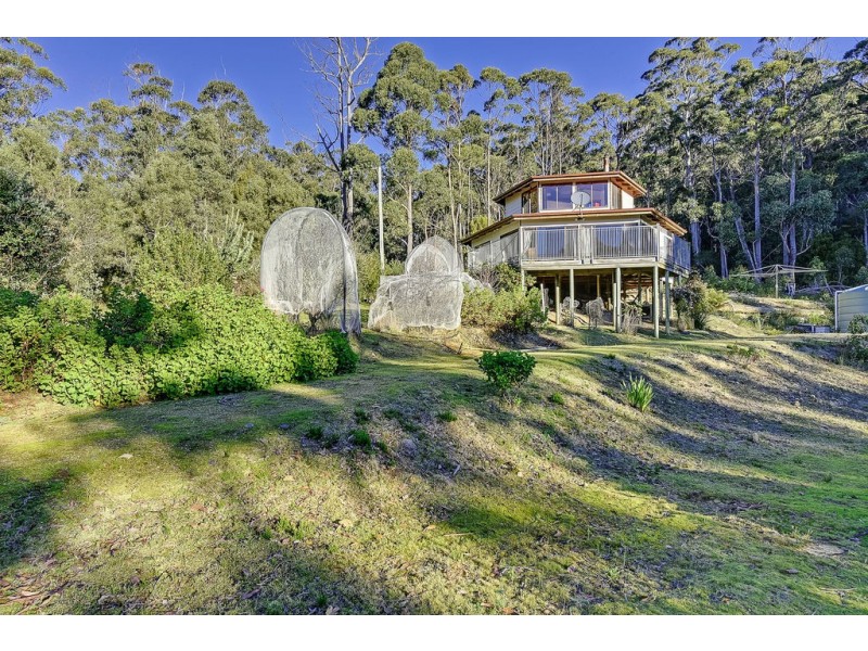 46 Waterfall Bay Road, Eaglehawk Neck TAS 7179