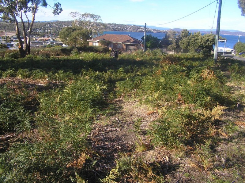 2 Little Falcon Street, Primrose Sands TAS 7173