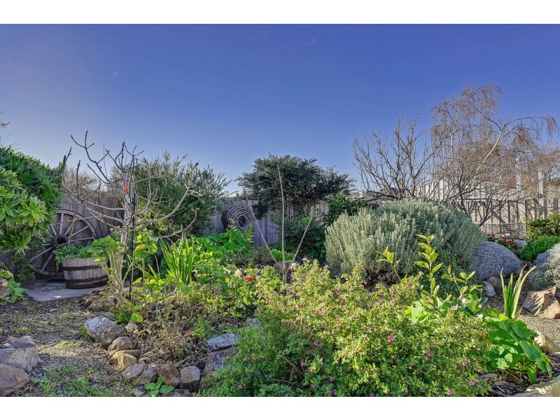 13 Fitzroy Street, Sorell TAS 7172