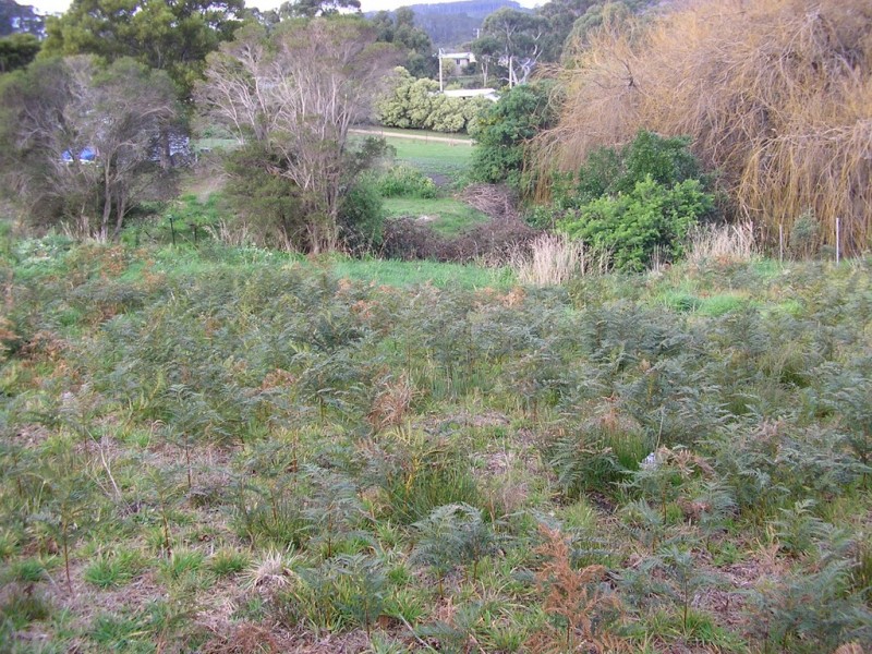 5 Peace Street, Nubeena TAS 7184
