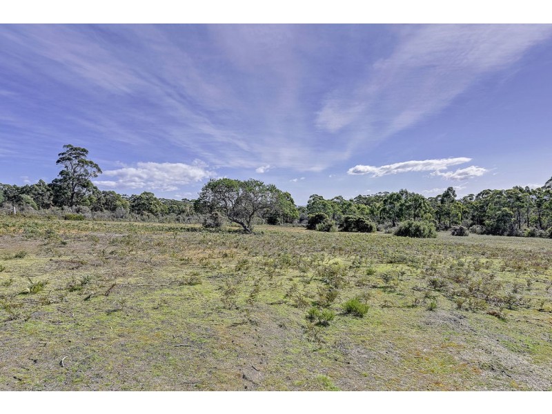 315 Gwandalan Road, Sloping Main TAS 7186