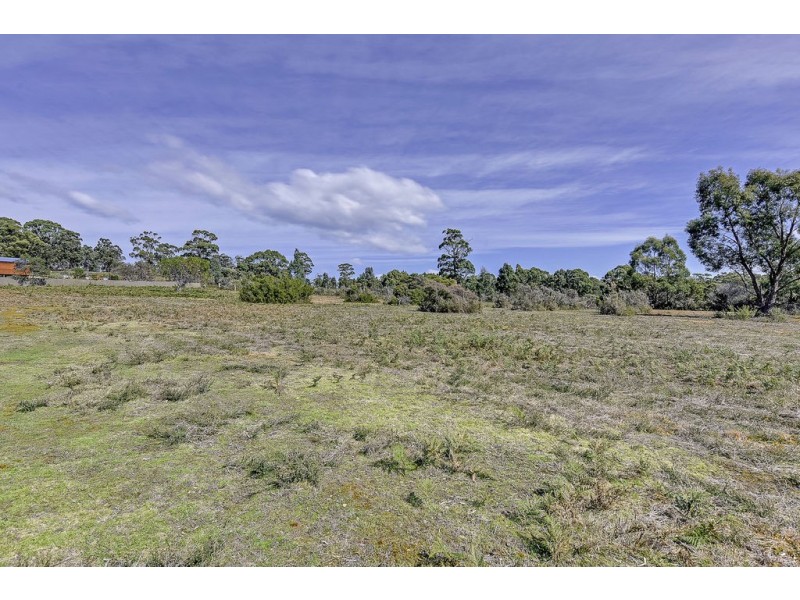 315 Gwandalan Road, Sloping Main TAS 7186