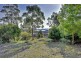 6 Lily Street, White Beach TAS 7184