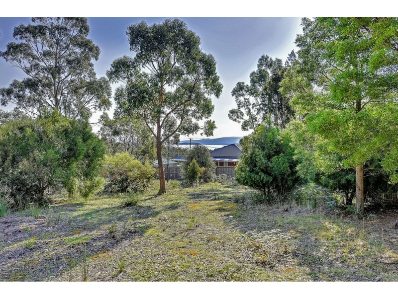 6 Lily Street, White Beach TAS 7184