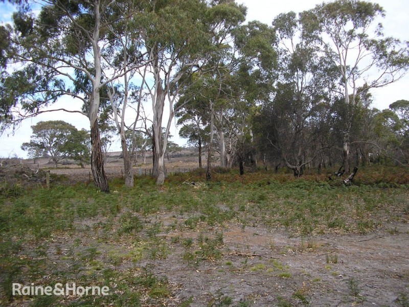 415 (Lot 2) Primrose Sands Road, Primrose Sands TAS 7173