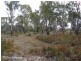415 (Lot 2) Primrose Sands Road, Primrose Sands TAS 7173