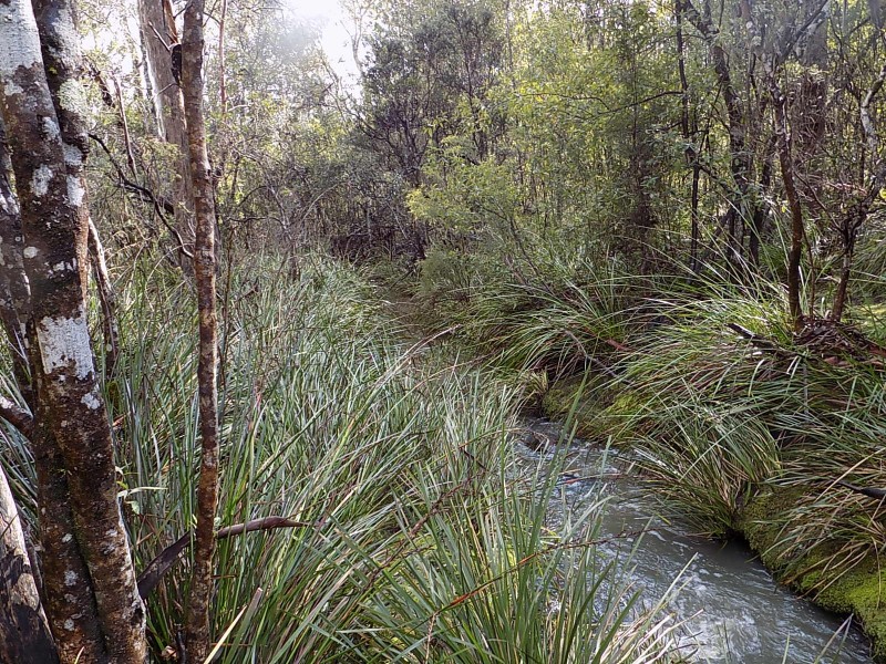 4051 Arthur Highway, Murdunna TAS 7178