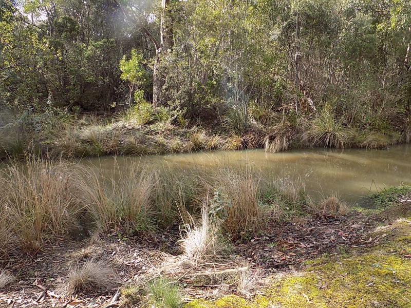 4051 Arthur Highway, Murdunna TAS 7178