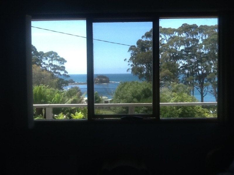 335 Pirates Bay Drive, Eaglehawk Neck TAS 7179
