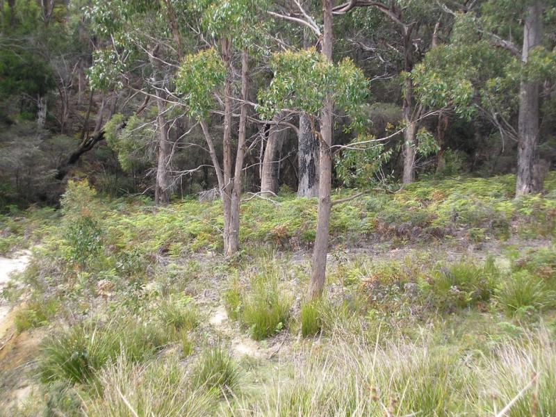 24 Mundy Court, Nubeena TAS 7184