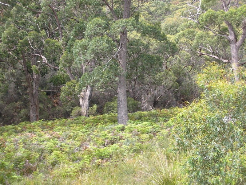 24 Mundy Court, Nubeena TAS 7184