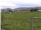 77 Branders Road, Orielton TAS 7172