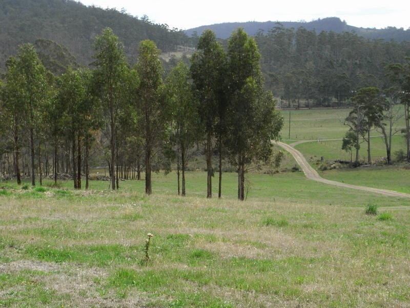 1390 Nugent Road, Wattle Hill TAS 7172
