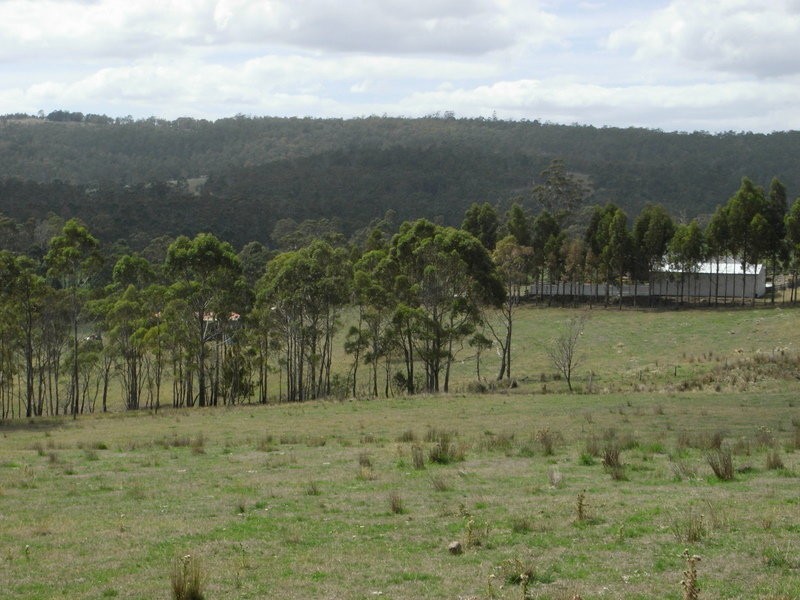 1390 Nugent Road, Wattle Hill TAS 7172