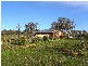 54 Wiggins Road, Wattle Hill TAS 7172