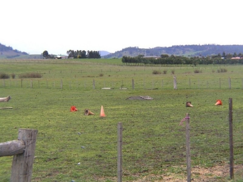 77 Branders Road, Orielton TAS 7172