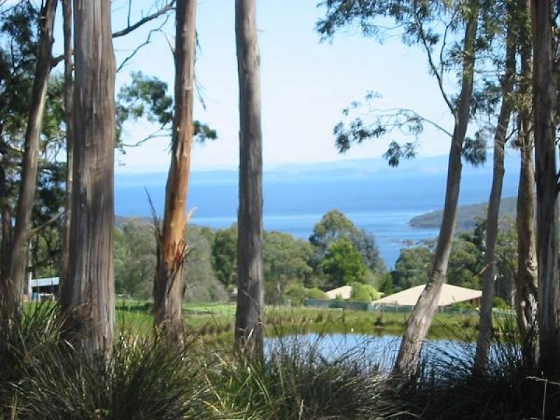 1  L1 Gillies Rd, Nubeena TAS 7184