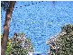 11 Boobyalla Street, Primrose Sands TAS 7173