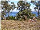 11 Boobyalla Street, Primrose Sands TAS 7173