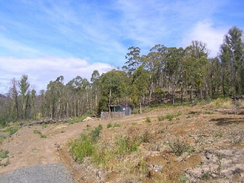 1142 Kellevie Road, Nugent TAS 7172