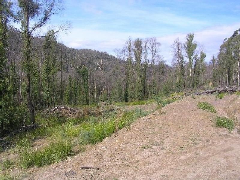 1142 Kellevie Road, Nugent TAS 7172