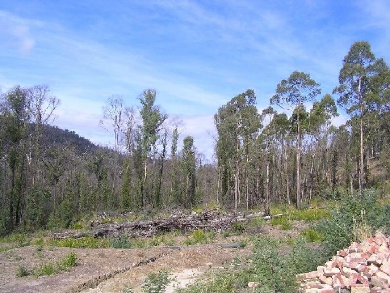 1142 Kellevie Road, Nugent TAS 7172