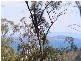 1 Deborah Lane, Dodges Ferry TAS 7173