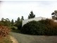 9 Alomes Road, Forcett TAS 7173
