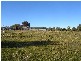 3093 Tasman Highway, Orielton TAS 7172