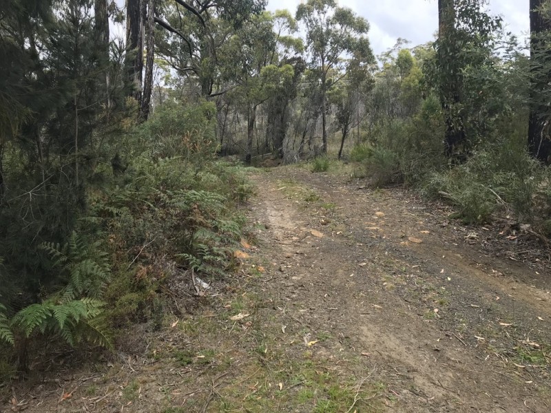 38 Schofields Road, Murdunna TAS 7178