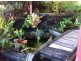 222 Lewisham Scenic Drive, Lewisham TAS 7173