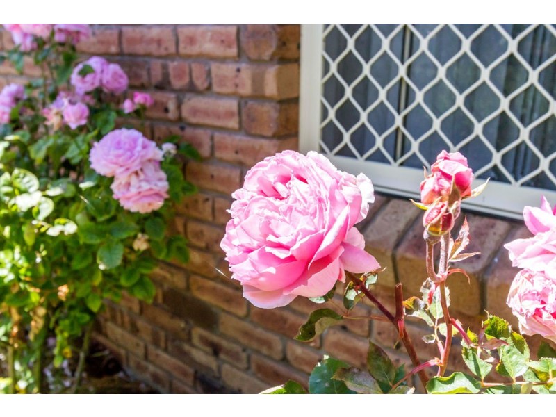 92 Esplanade, Oatlands TAS 7120